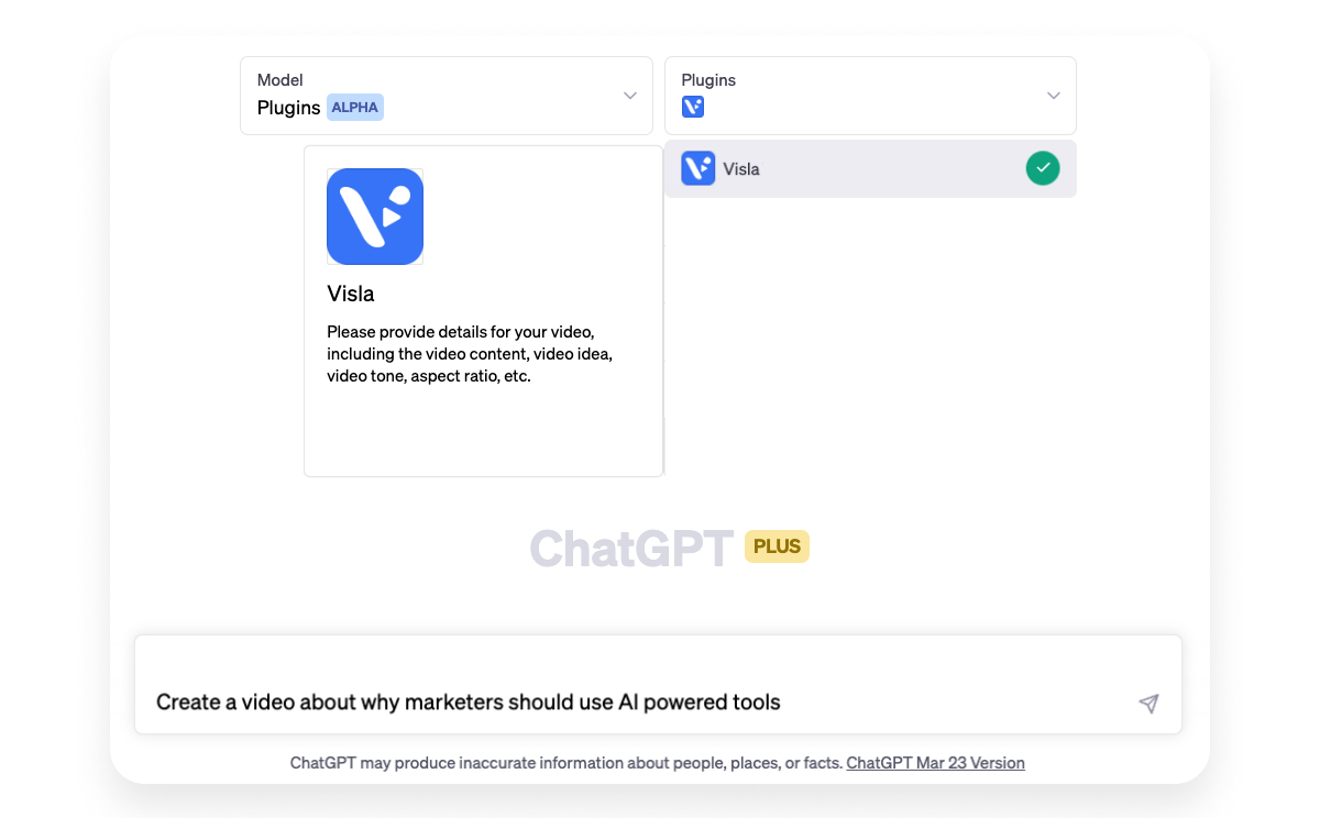 Input video prompt